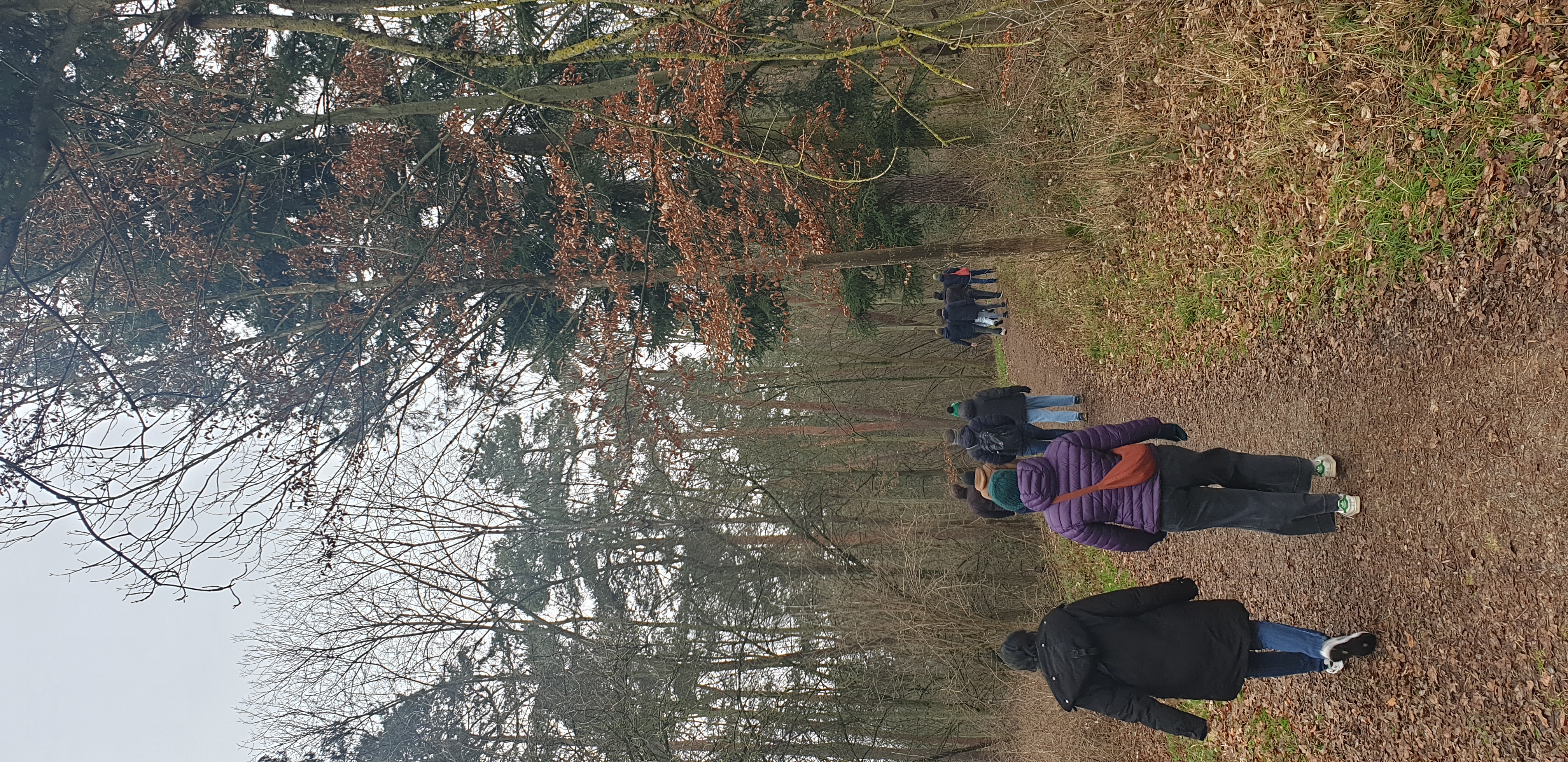 stuttgart jm 25 wandern